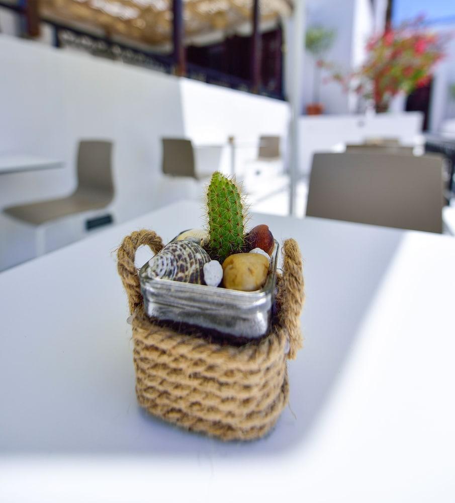 Kalidon Beach Hotel Kokkari Luaran gambar